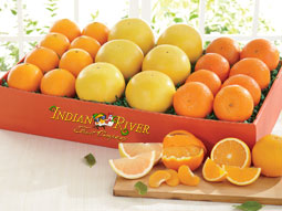 Indian River Mixed Citrus Fruit